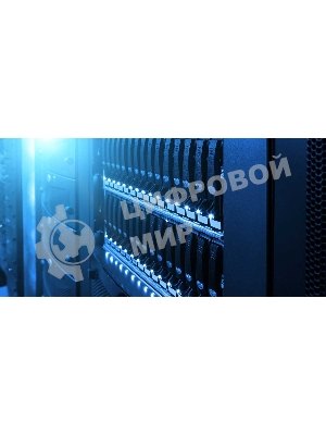 Жесткий диск Western Digital SATA 18Tb 7200RPM 6Gb/S 512MB GOLD WD181KRYZ