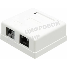 Розетка TWT (TWT-SM2-4545-WH) настенная 2 порта RJ-45 категории 5е. UTP. белая
