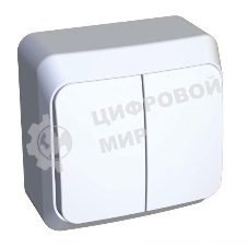 Выключатель 2-кл. ОП Этюд 10А IP20 с индик. белый SchE BA10-006B