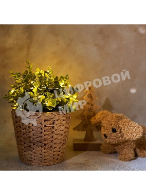 Гирлянда Neon-night 