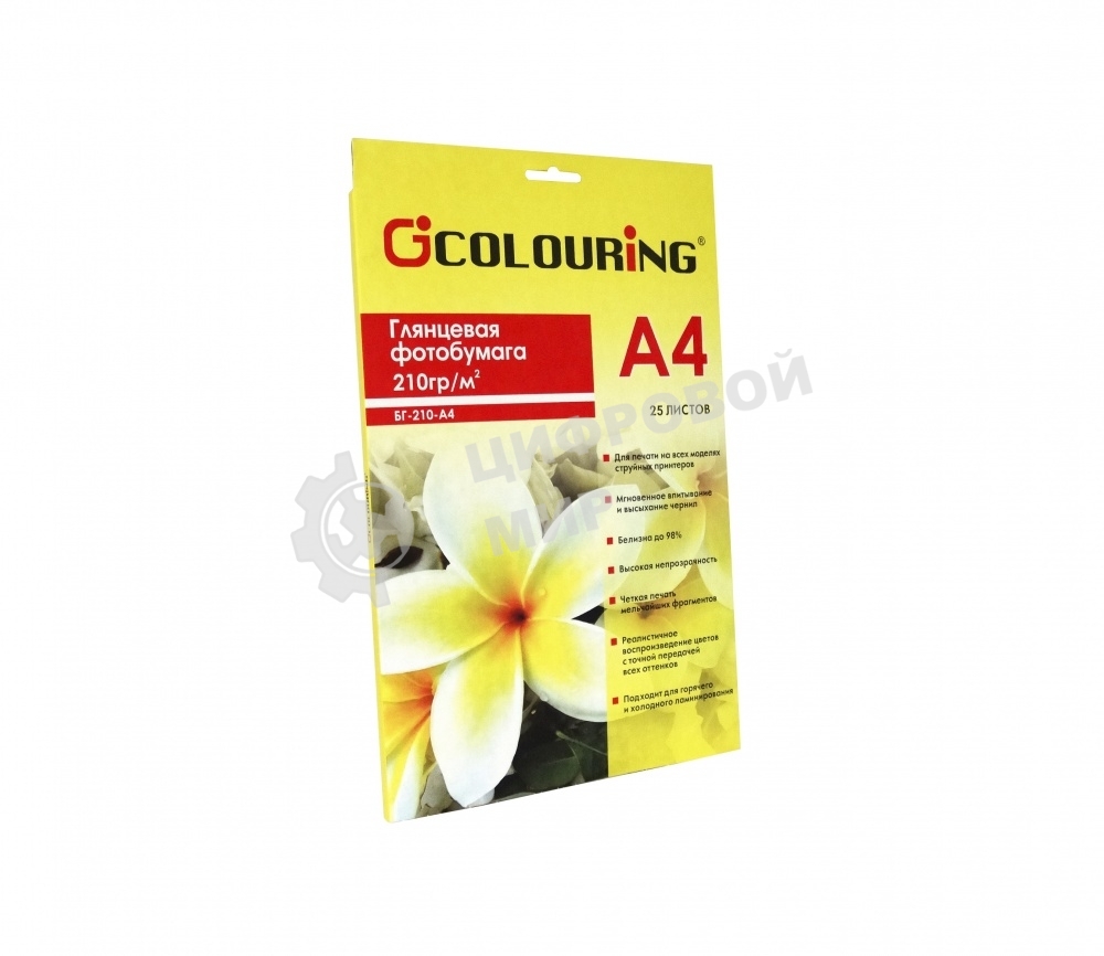 Фотобумага глянцевая CG-БГ-210-А4-25, 210 г/м2, А4, 25 листов, 2880 dpi