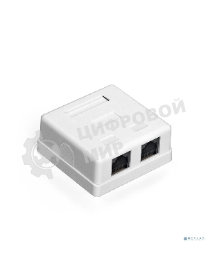 Розетка компьютерная двойная ExeGate SM2-RJ45-C6 RJ-45 кат.6 UTP Krone/110