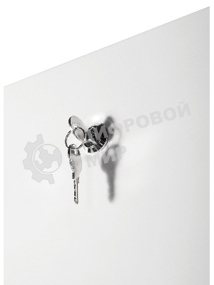 Шкаф телекоммуникационный напольный ЭКОНОМ 42U (600 × 800) дверь металл 2 шт.