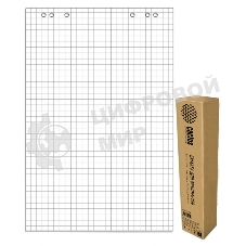 Блок бумаги для флипчартов Cactus CS-PFC20S-5 клетка 20 листов (упаковка: 5шт)