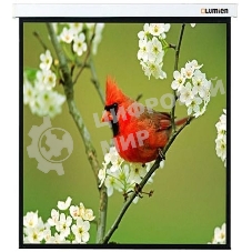 Экраны LUMIEN LUMIEN Master Picture LMP-100129 220*220 1:1, черная кайма по периметру