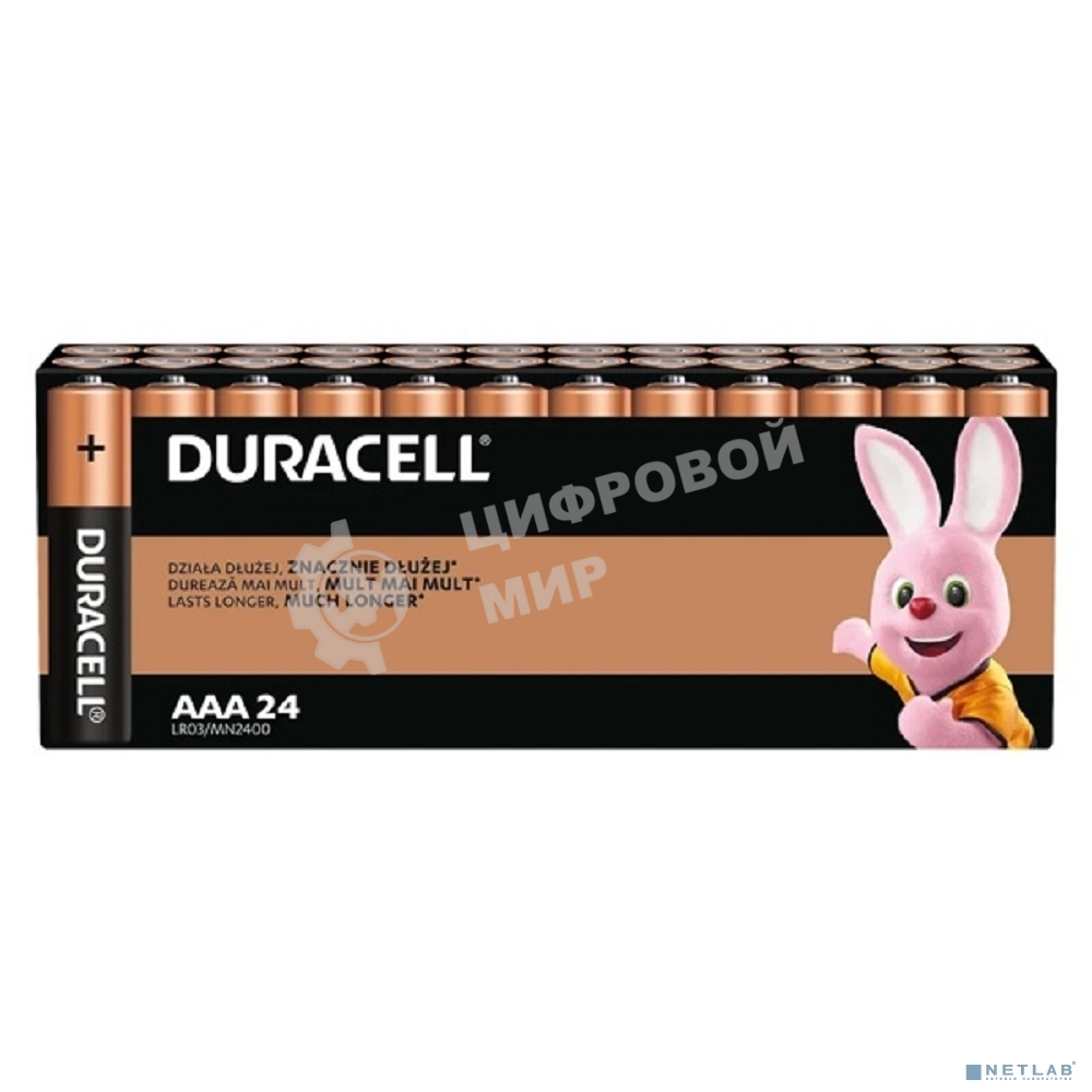 Батарейки DURACELL LR03-24BL BASIC AAA (MN2400) (24 шт. в уп-ке)