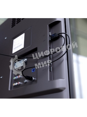 Антенна Rexant комнатная 