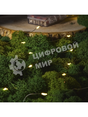 Гирлянда Neon-night Роса с контроллером 20м, 200 LED, IP20, 230В, зеленый провод, теплое белое свечение