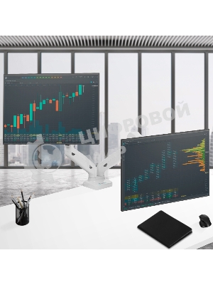 Кронштейн ONKRON G160 для монитора 13