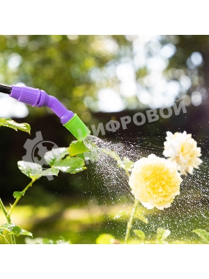 Опрыскиватель Palisad ручной 5 л насос шланг разбрызгиватель