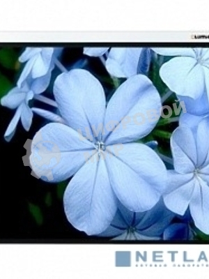 Экран Lumien 180x180 см Master Picture LMP-100103 1:1 настенно-потолочный рулонный