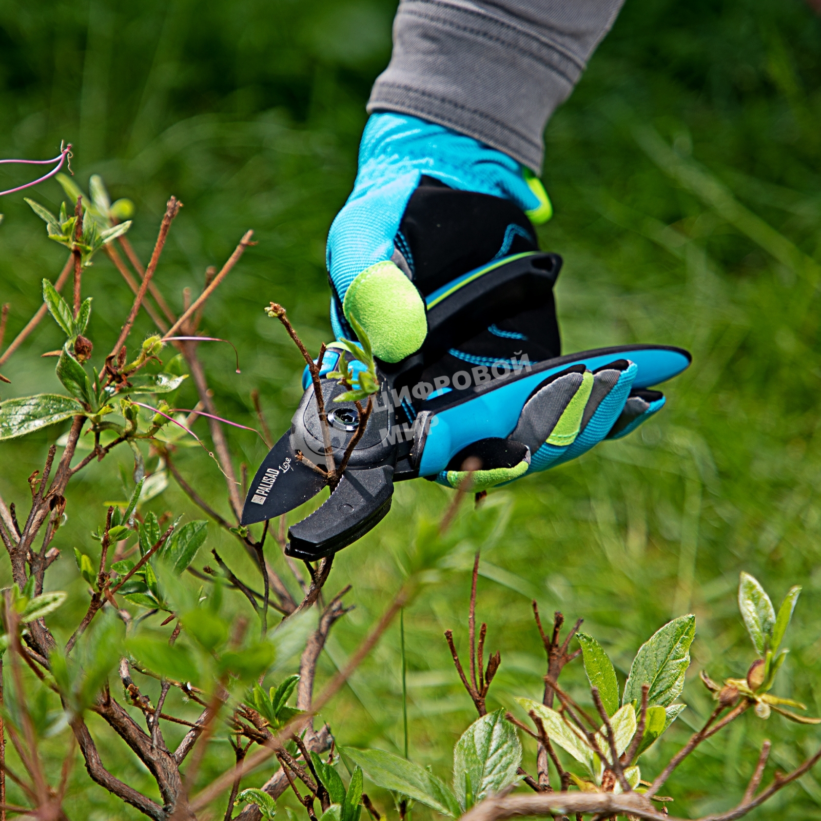 Секатор с наковальней Palisad LUXE 220 мм, регулировка захвата, трехкомпонентные рукоятки