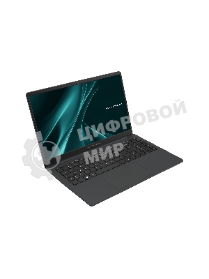 Ноутбук Maibenben B315A серый B315A-i521UMB1SLGRE2 15.6