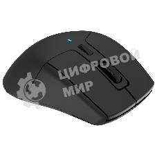 Мышь беспроводная Acer OMR170 черный, 1600 dpi, радиоканал, Bluetooth, USB, кнопки - 6