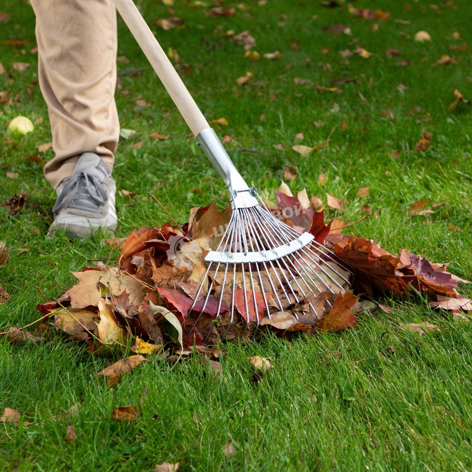 Грабли веерные стальные Сибртех 350 мм, 18 круглых зубьев, оцинкованные, без черенка