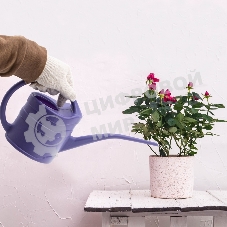 Лейка Россия малая, 1.3 л, пластмассовая Россия 67500