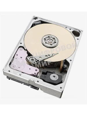Жесткий диск Seagate 16Tb 7200RPM SATA 6Gb/S 256MB ST16000NM000J