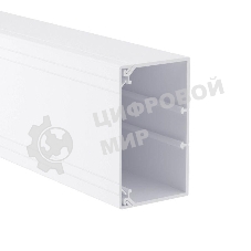 Короб Dkc 01786 TA-GN 100 x 60 с крышкой с направляющими для установки разделителей (2 метра)