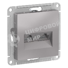 Алюминий Розетка двойная компьютерная RJ45+RJ45, кат.5E, механизм Schneider Electric