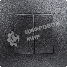 Выключатель двухклавишный, автоматические клеммы, Etika, 10AX, 250В~, антрацит Выключатель двухклавишный, автоматические клеммы, Etika, 10AX, 250В~, антрацит