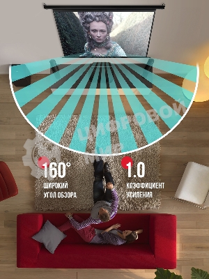 Экран для проектора S'OK Apollo SGPSMT-323x202PS бокового натяжения, ПВХ, белый корпус