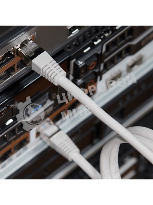 Пaтч-корд Rexant  F/UTP, cat. 5e, RJ45-RJ45, экранированный, 24AWG, LSZH, серый, 1м