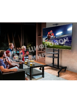 Стойка для телевизора с кронштейном ONKRON TS1881 50