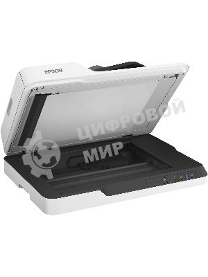 Сканер Epson WorkForce DS-1630 (B11B239401) планшетный, A4, CIS, 600x600 dpi, двусторонный автоподатчик, USB 3.0