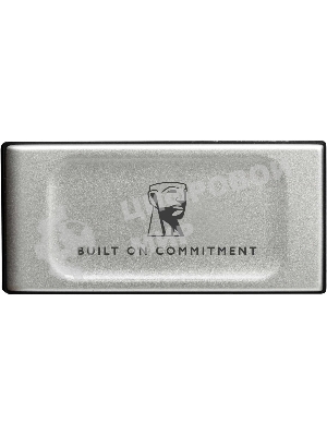 Внешний SSD Kingston XS2000, 500 Gb, USB 3.2 Gen 2x2 Type-C, R/W 2000/2000, серебристый