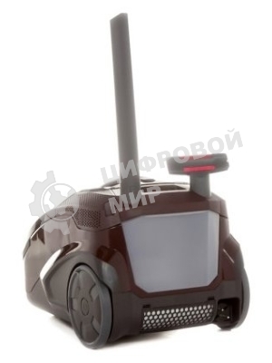 Моющий пылесос Thomas Parkett Master XT коричневый, 325/1700 Вт, уборка сухая/влажная/сбор жидкости, пылесборник контейнер 6 л