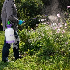 Опрыскиватель Palisad ручной усиленный с горловиной 5 литров с насосом шлангом и разбрызгиват.