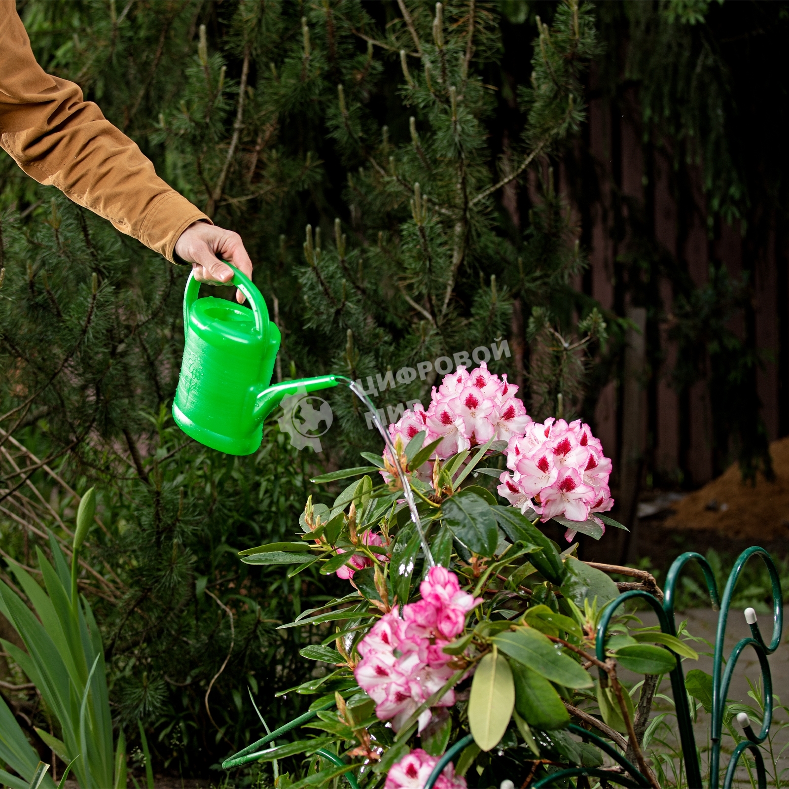 Лейка садовая, 2 л, пластмассовая Россия