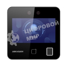 Терминал доступа HiWatch ACT-T1343EFW