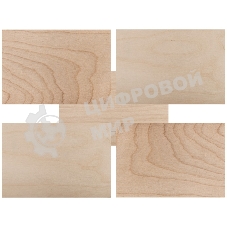 Доски для выжигания Rexant, Набор творческий (без рисунка), 148х210 мм (А5), 5 шт., пакет