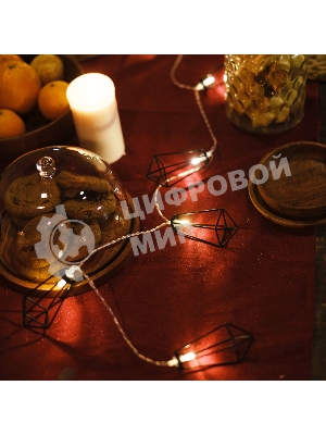 Гирлянда светодиодная Neon-night 