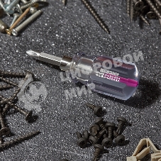 Отверткакомбинированная Rexant, прозрачная рукоятка,двухсторонний стержень 40 мм (крестовая PH 2, шлицевая SL 6 мм)