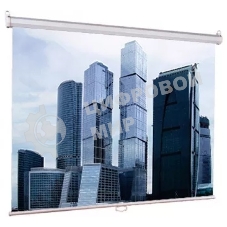 Настенный экран Lumien Eco Picture 229х305 см (рабочая область 221х297 см) Matte White прямоуголный корпус, возможность потолочн./настенного крепления, уровень в комплекте, 4:3