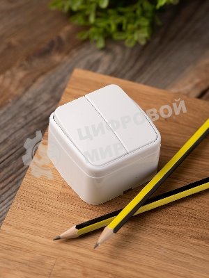 Выключатель 2-клавишный ОП 10А белый Минск EKF Basic