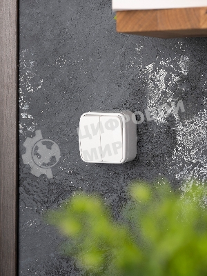 Выключатель 2-клавишный ОП 10А белый Минск EKF Basic