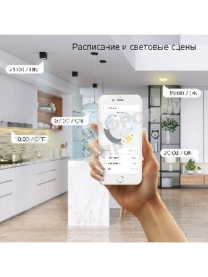 Лампа светодиодная филаментная Gauss Smart Home DIM+CCT E14 C35 4,5 Вт 2000-6500 К 1/10/40