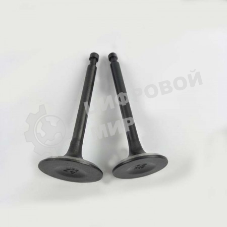 Комплект клапанов (впускной, выпускной) для двигателя 168F/170F, GX160/GX200 131020