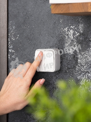 Выключатель 2-клавишный ОП 10А белый Минск EKF Basic