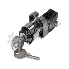 Переключатель Rexant BD21 2P с замком NO