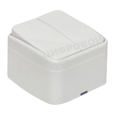 Выключатель 2-клавишный ОП 10А белый Минск EKF Basic