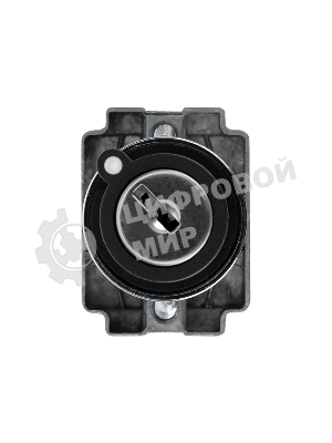 Переключатель Rexant BD21 2P с замком NO