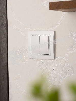 Выключатель 2-клавишный СП,10А, белый EKF Basic Минск