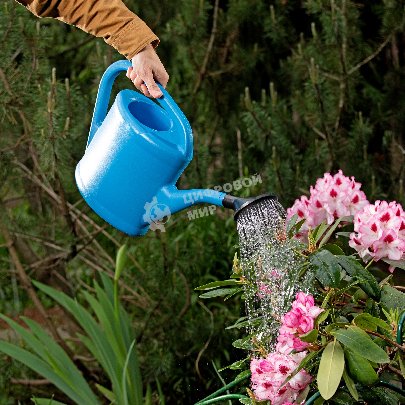 Лейка Россия садовая,5 л,пластмассовая67510