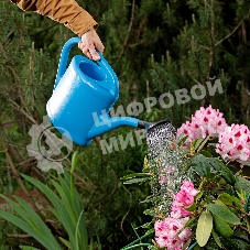 Лейка Россия садовая,5 л,пластмассовая67510