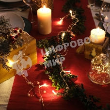 Гирлянда светодиодная Neon-night 