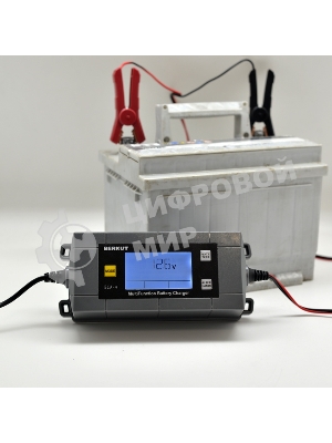 Зарядное устройство Berkut BCA-4